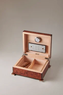 Amboyna burl Small cigar humidor box