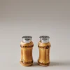 Bamboo root Salt and pepper sprinkle set