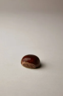 Enamel Chestnut pill box
