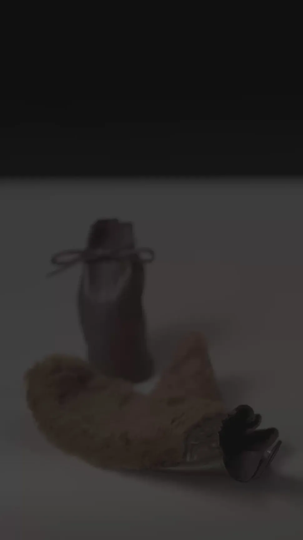 Lambskin Shoe shine mitt