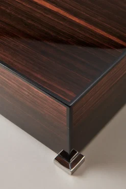 Makassar ebony Jewelry box