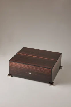Makassar ebony Medium cigar humidor box