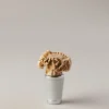 Roe deer antler conical bottle cap