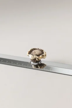 Roe deer antler Ruler