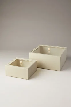 Scatola quadrata con coperchio in vetro - facocero - Rectangular box with glass lid in warthog