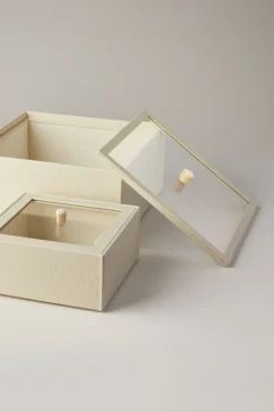 Scatola quadrata con coperchio in vetro - facocero - Rectangular box with glass lid in warthog