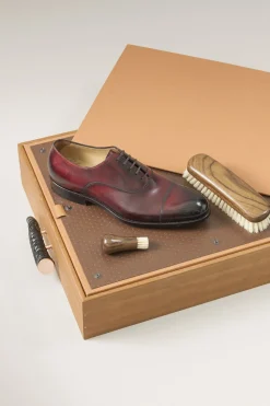 Springbok Shoe shine box with Ovangkol brushes