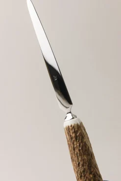 Stag antler Letter opener