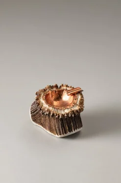 Stag antler Stag ashtray