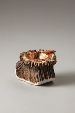 Stag antler Stag ashtray