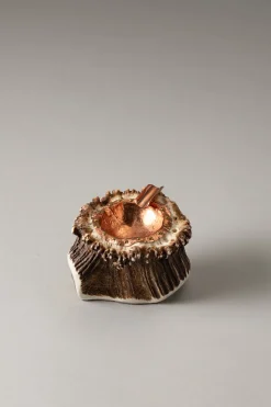 Stag antler Stag ashtray