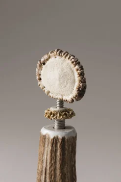 Stag antler Thomanson's corkscrew