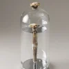 Stag antler Toilet tooth-brush holder with glass covering
