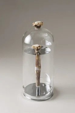 Stag antler Toilet tooth-brush holder with glass covering