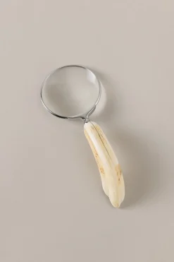 Warthog Magnifying glass
