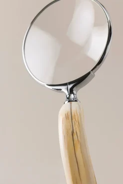 Warthog Magnifying glass