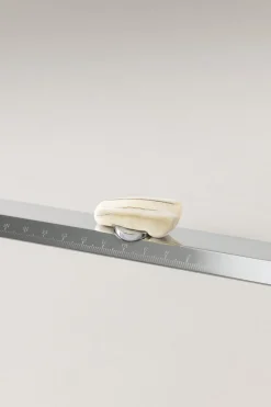 Warthog Ruler