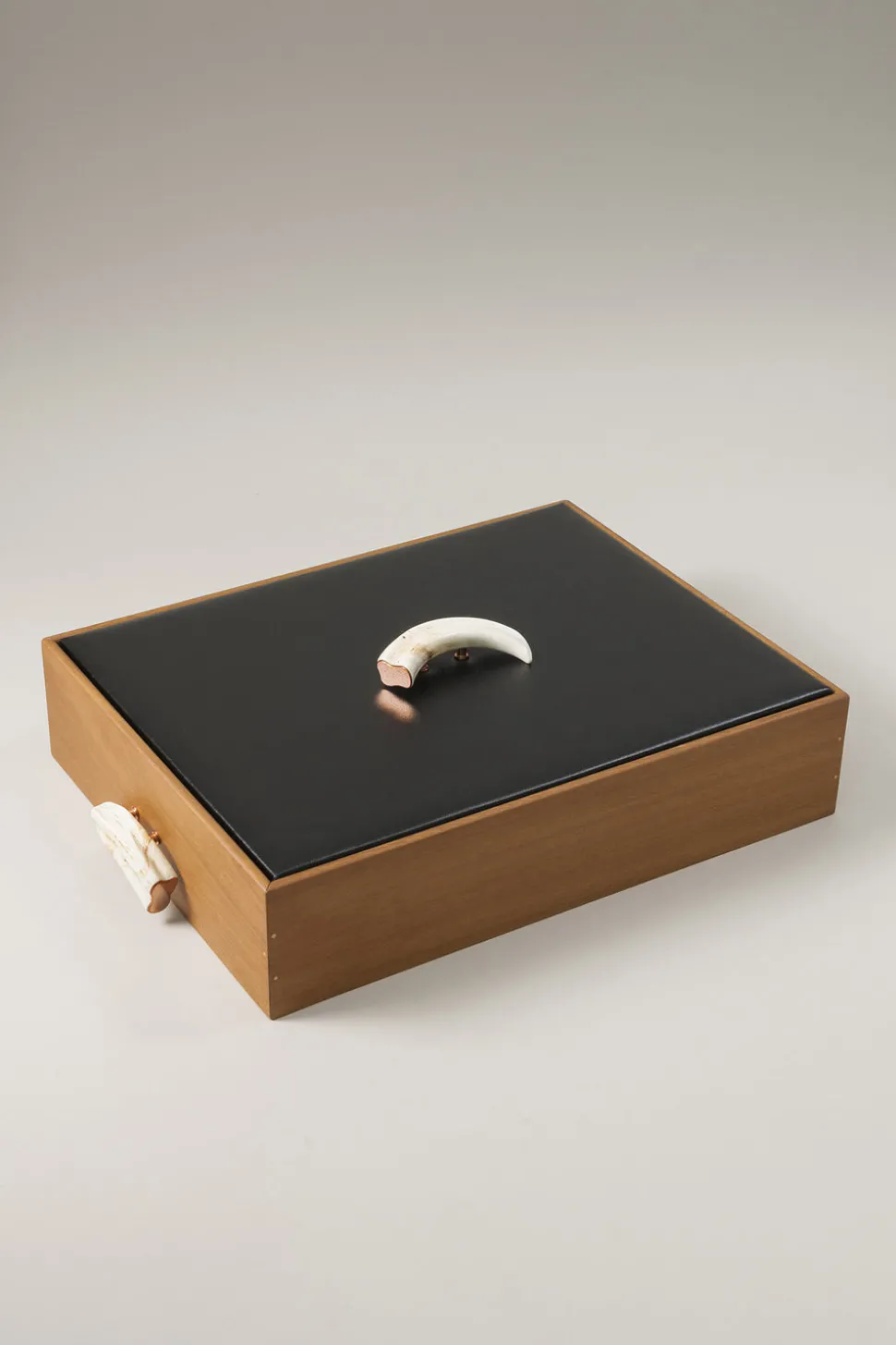 Warthog Shoe shine box with Makassar ebony brushes