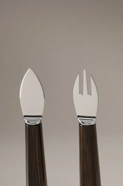 Wood Parmesan cheese set
