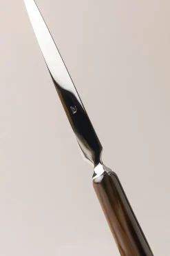 Zebu Letter opener