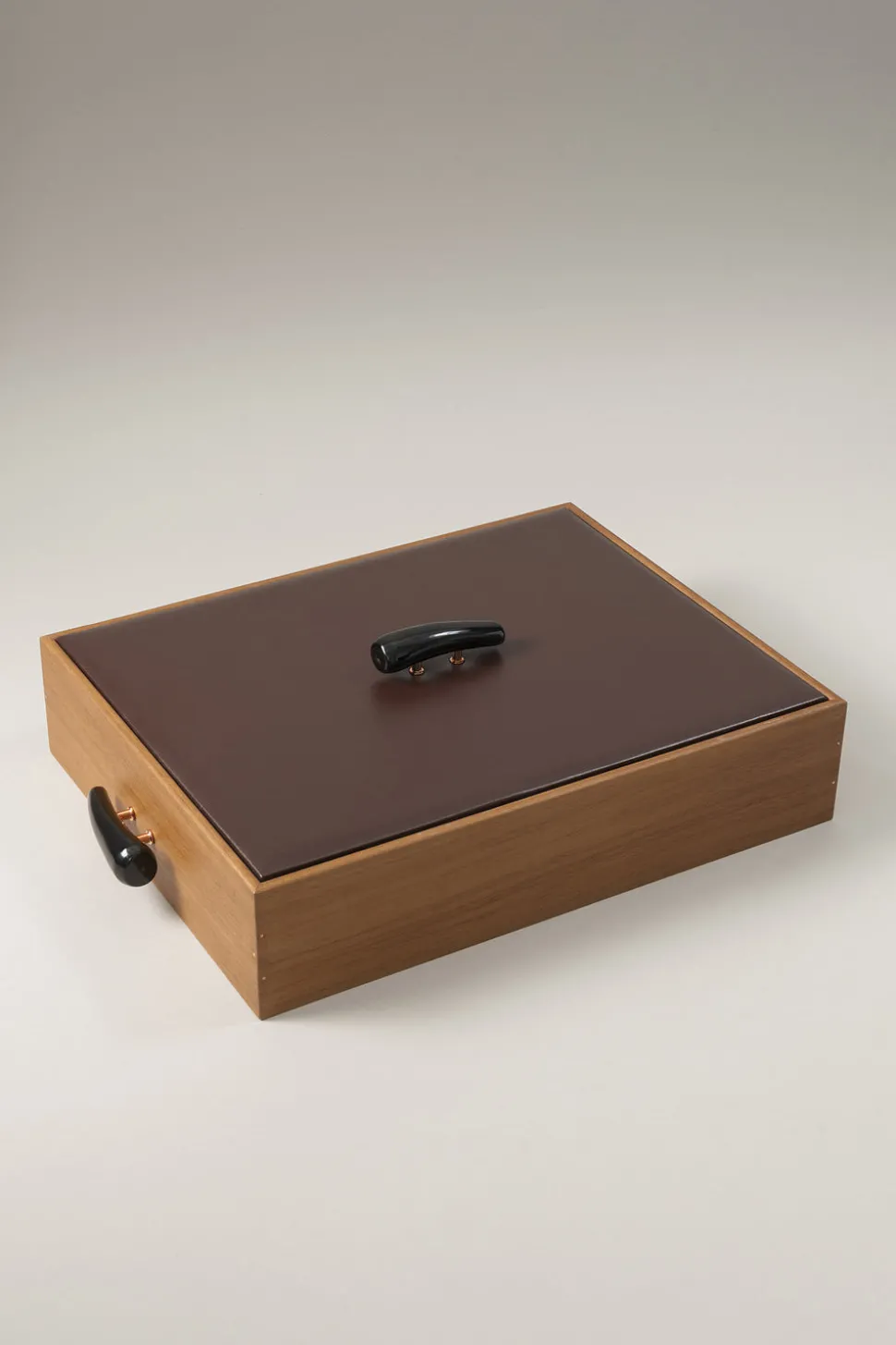 Zebu Shoe shine box with Ovangkol brushes