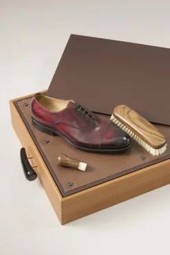 Zebu Shoe shine box with Ovangkol brushes