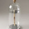 Zebu Toilet tooth-brush holder with glass covering
